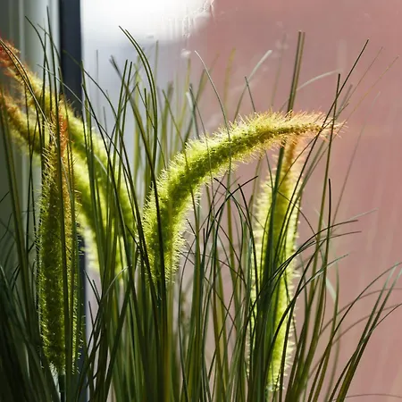 Spacious Three-bedroom In Leeds *