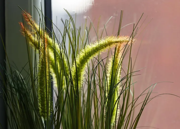 Spacious Three-bedroom In Leeds *